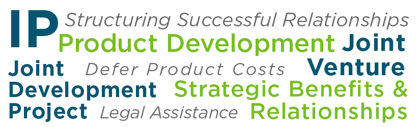 Joint Development or Joint Ventures