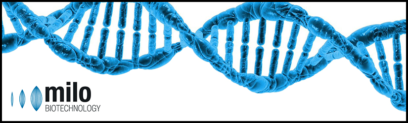 Gene Therapy